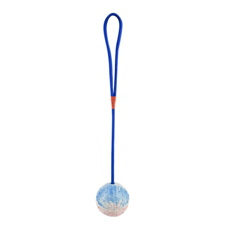 Pet Dogs Training Toy Natural Rubber Ball On Rope For Reward Fetch Play Interactive Funny Dog Toy Dog Training Supplies - Image 8