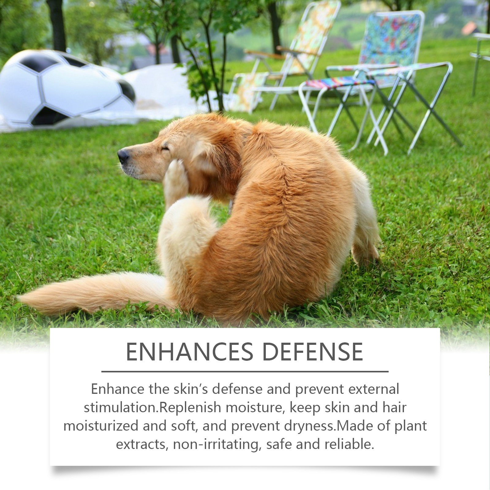 Dog Shampoo for Gentle Cleaning and Nourishing Soft Fur - Image 4