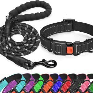 Pet Dog Collar Leash Traction Rope With Adjustable Reflective Nylon Webbing Dog Collar Set